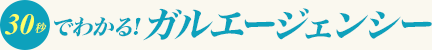 30秒でわかる!ガルエージェンシー